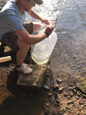 SAC und SAV leisten Beitrag für naturnahen Fischbesatz in der Werra