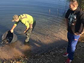 Fischbesatz KAF III Foto: SST