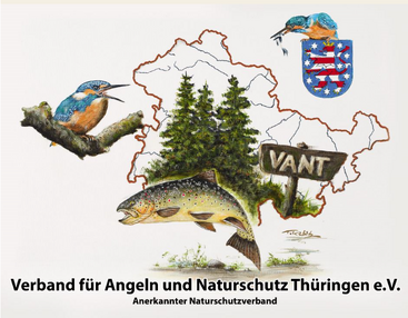 Projekt Fischartenschutz &ndash; die Arbeit des VANT 2018-2019