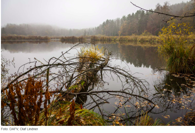&Ouml;kologische Aufwertung von Gew&auml;ssern n&uuml;tzt Fischen und Menschen